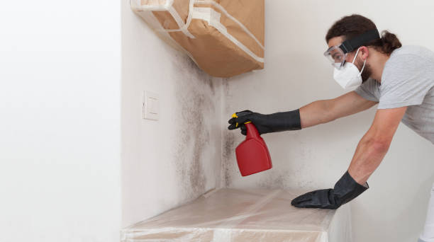 Professional Bathroom Mold Removal technician working in Milltown, NJ