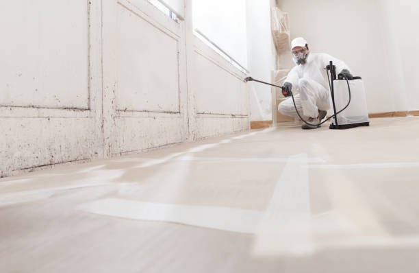24/7 Emergency Bathroom Mold Removal experts in Milltown, NJ